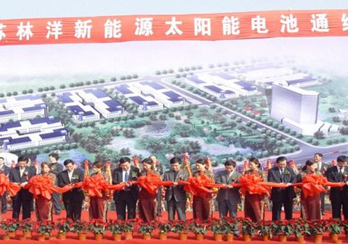 江蘇林洋新能源有限公司成立，10月，第一條太陽(yáng)能電池線(xiàn)投產(chǎn)運(yùn)行